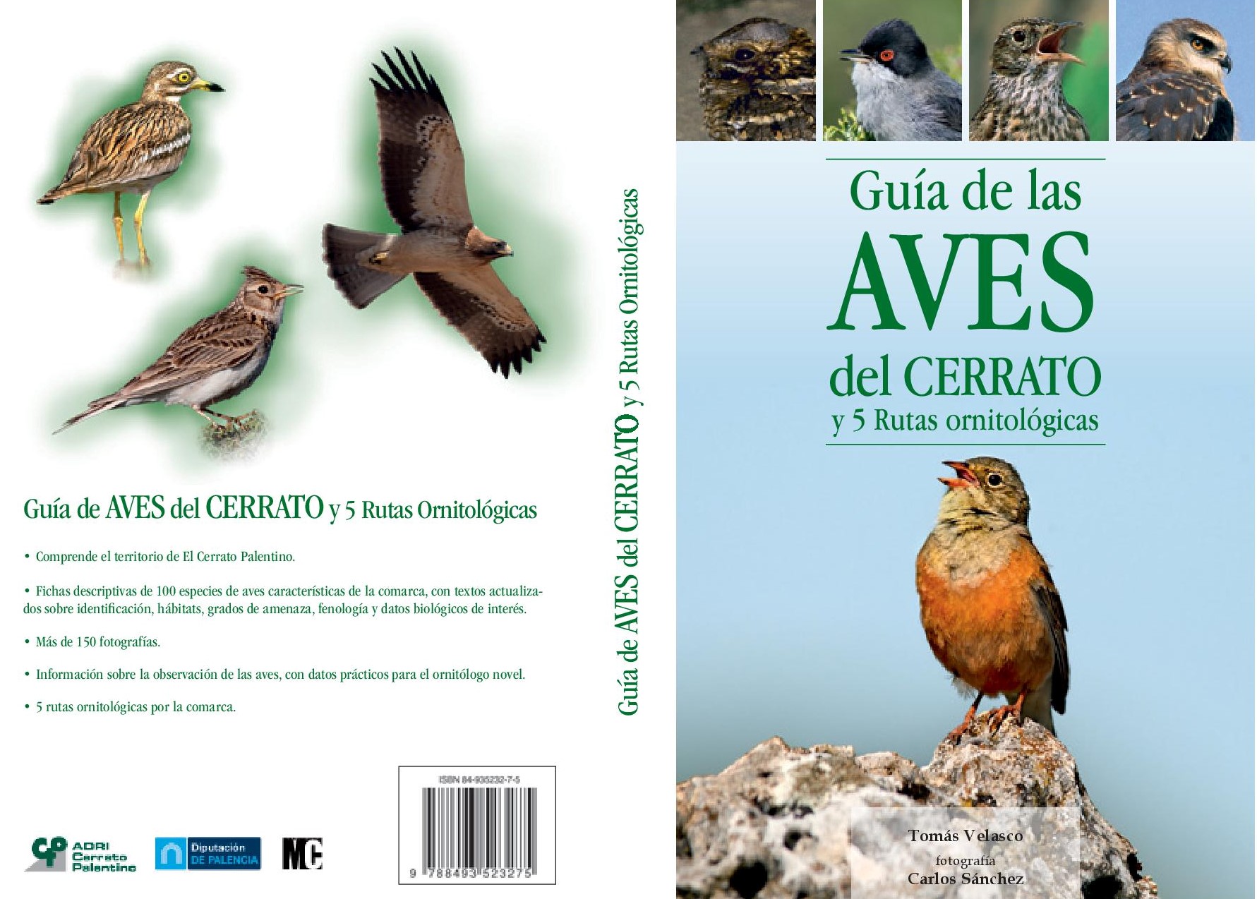 Guía Aves Cerrato Palentino